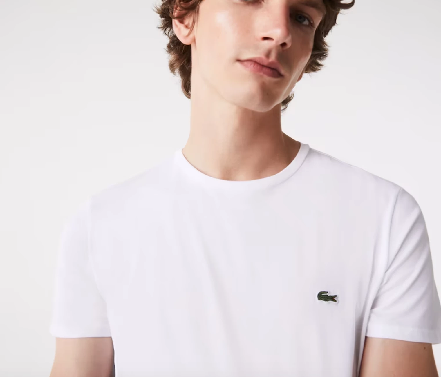 Lacoste Men's Crew Neck Cotton T-Shirt - Image 5
