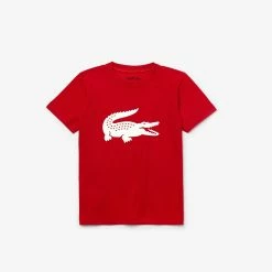 Lacoste Junior T-Shirt